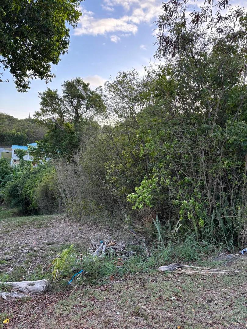 Homesite at 91 Mary's Fancy Qu — photo 2