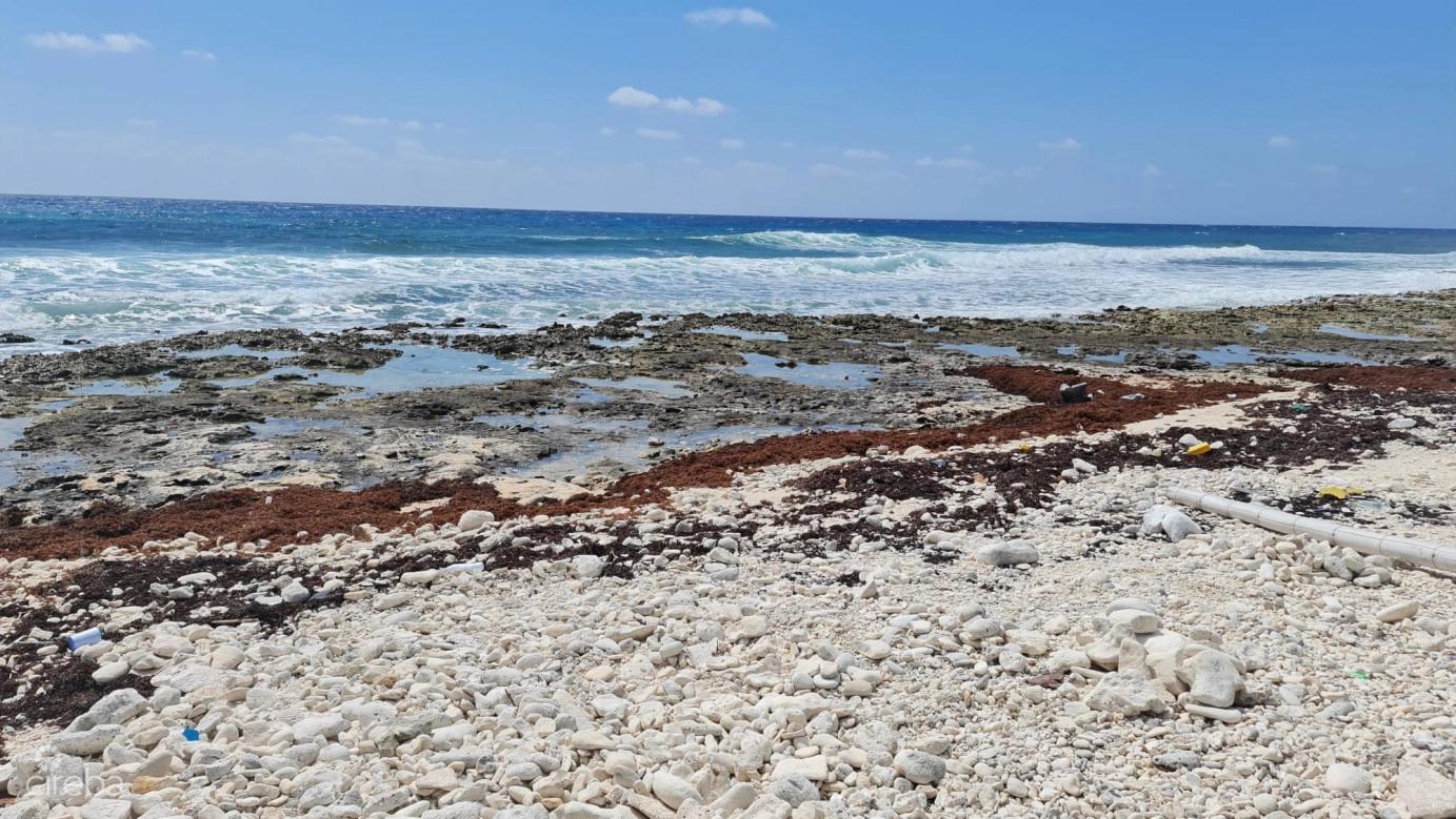 Cayman Brac East Oceanfront 1.25 Acres — photo 2