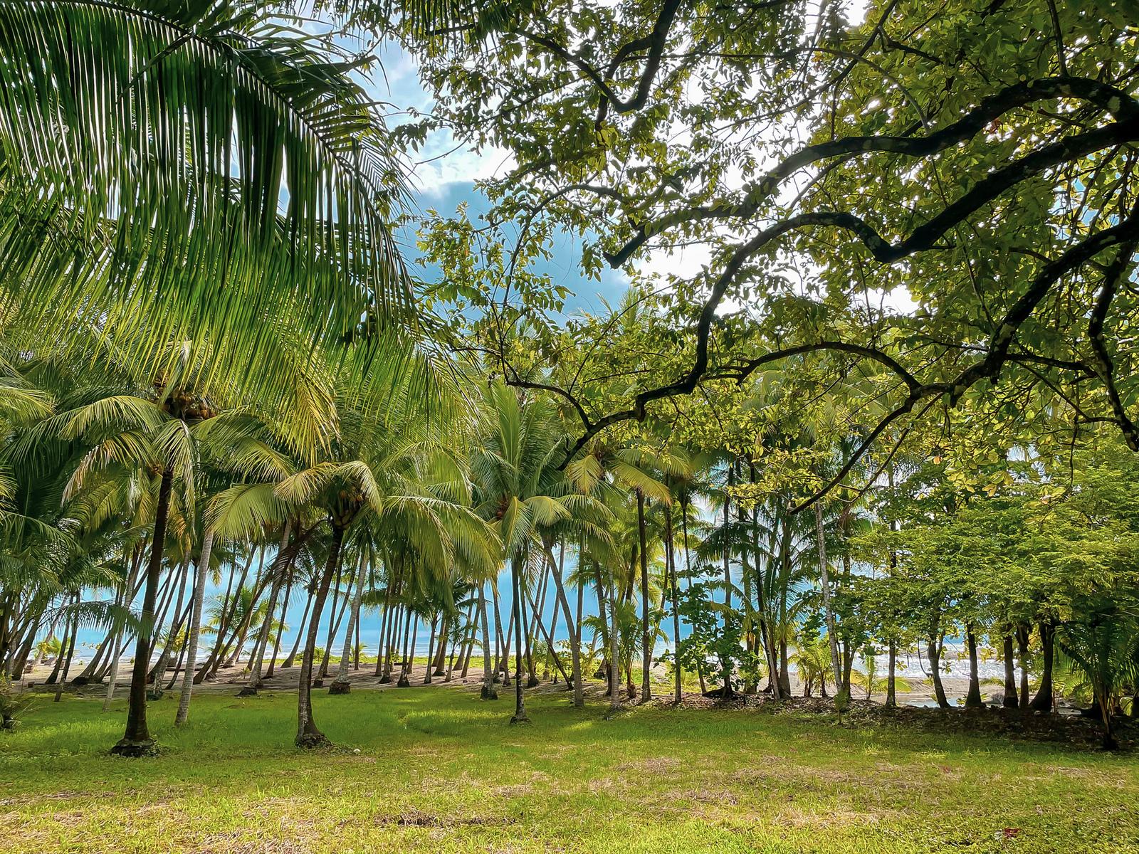 7,623 Sq M Beachfront Land for Sale, El Muey Beach, Mal Pais, Puntarenas, Costa Rica — photo 4