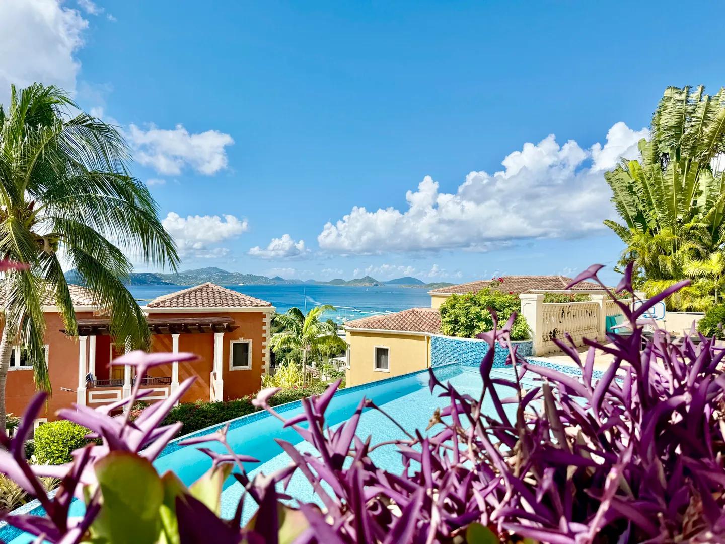 Frangipani At The Hills — photo 4