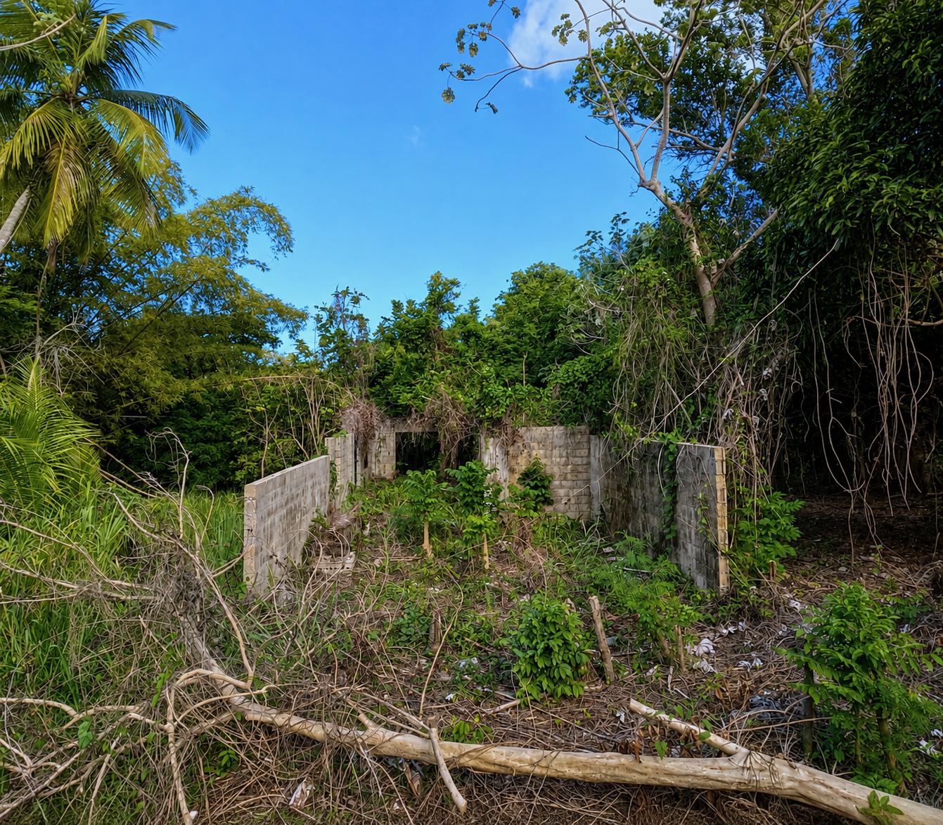 6.22 acres with natural spring — photo 3