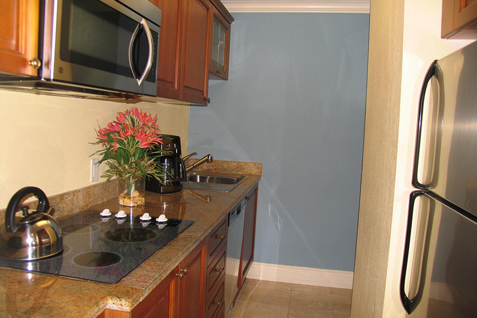 1 Bedroom Condo for Sale at St Kitts Marriott, Frigate Bay — photo 4