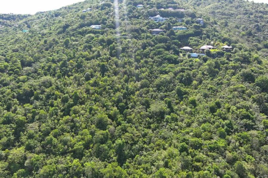 863 Greenbanks 1.182 Acres — photo 3