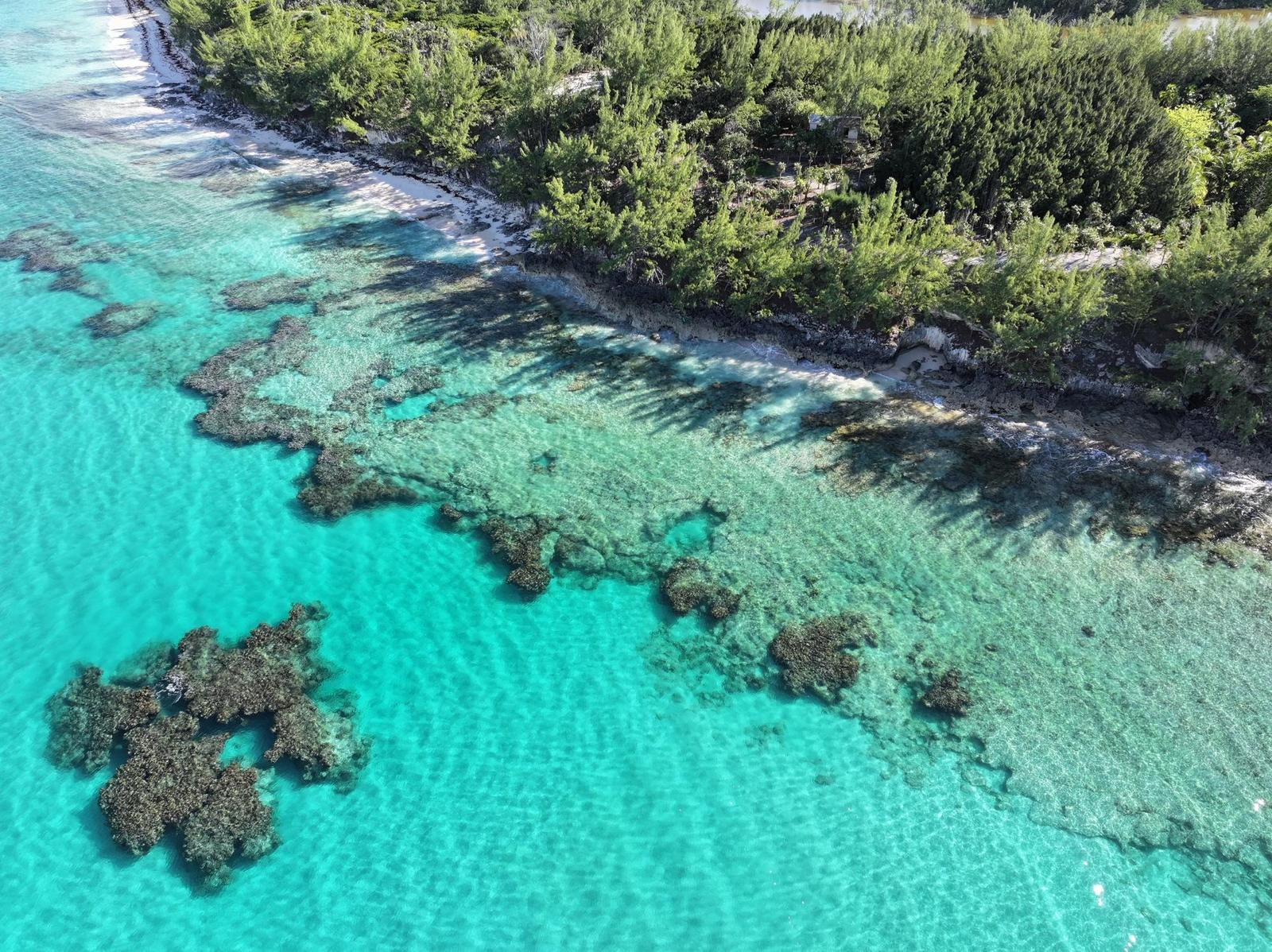Peppercorn Estate on Banks Road, Eleuthera, The Bahamas — photo 3