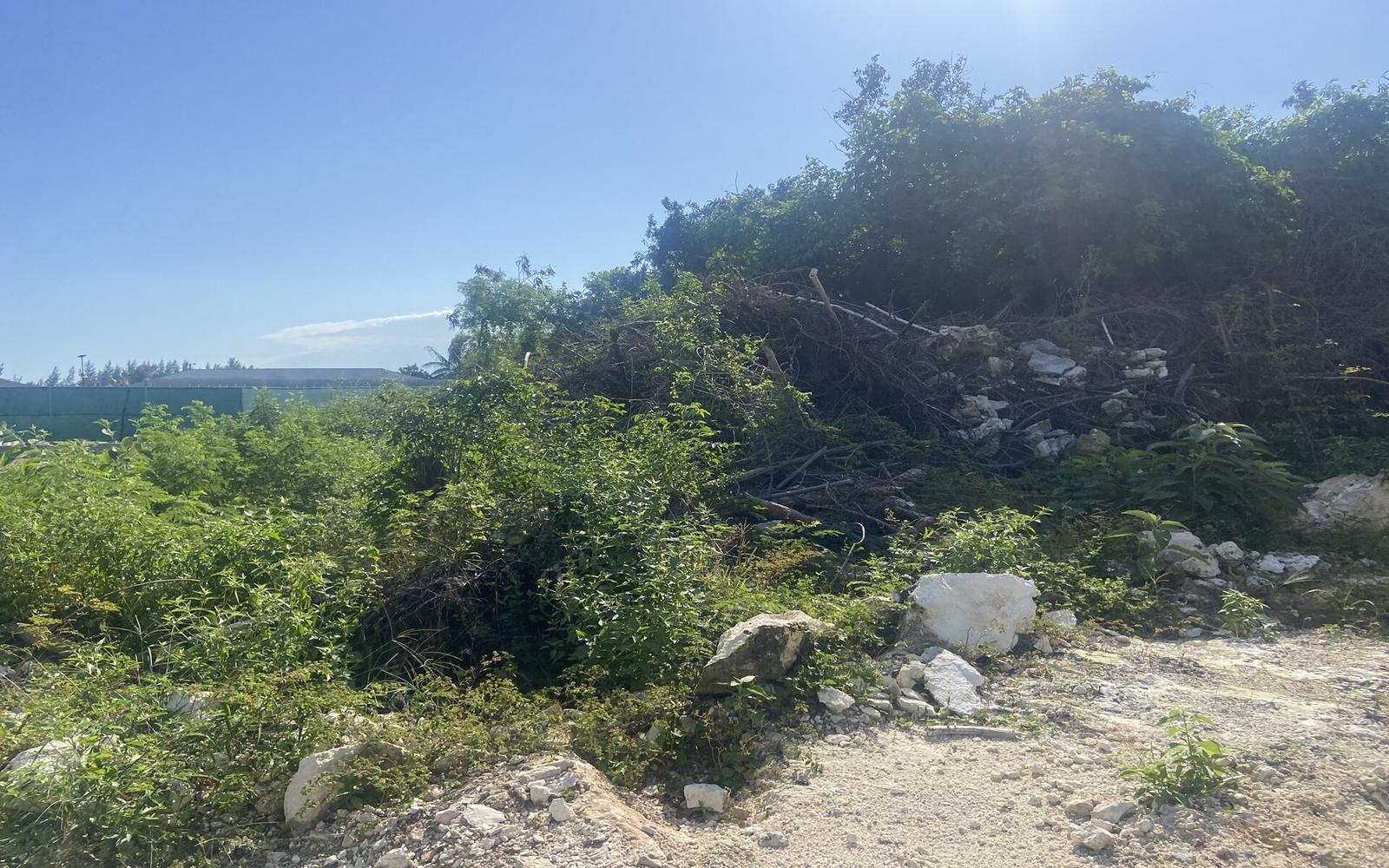 Multi-family Lot Off Carmichael Road - MLS 56678 — photo 3