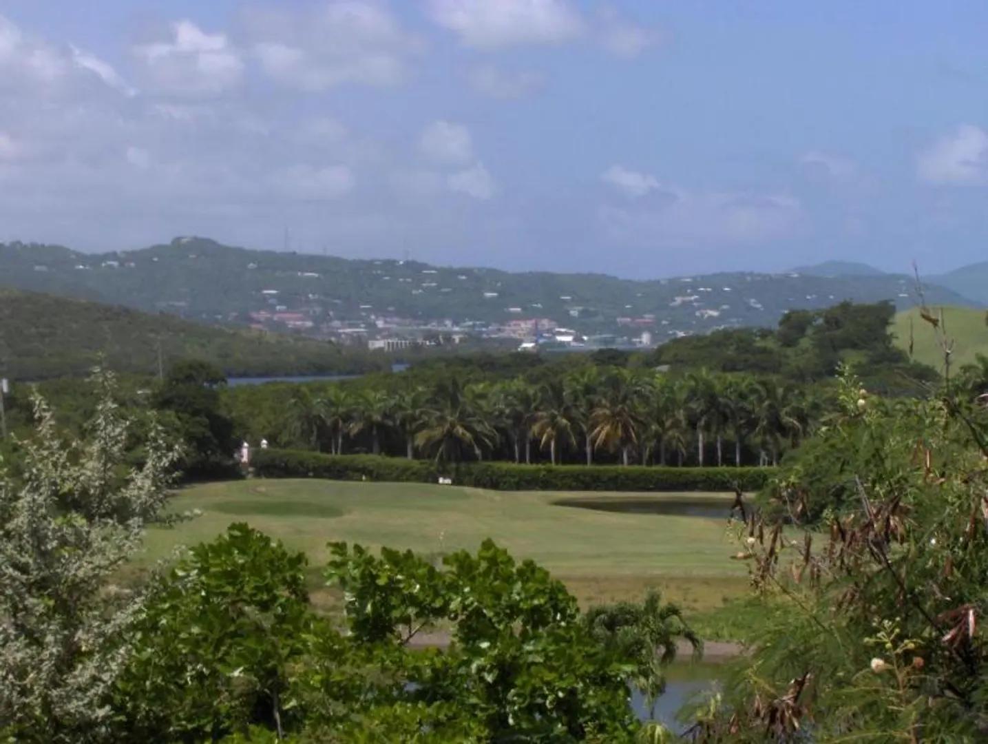 0.69 Acre Lot Anna's Hope Ea — photo 4