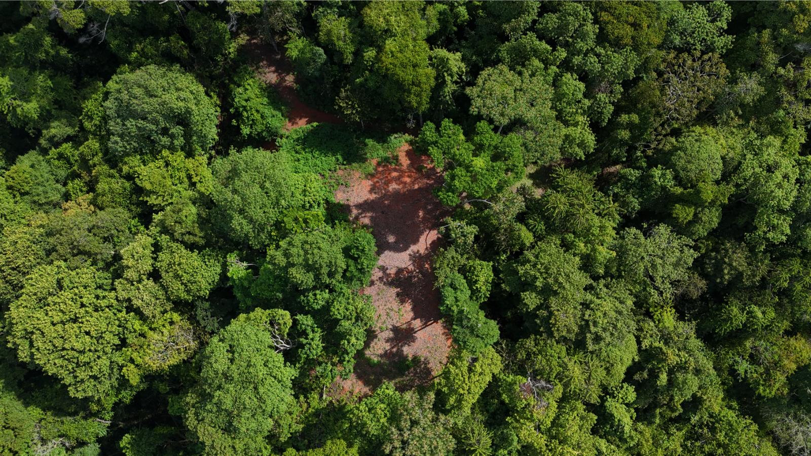 2.42 Hectares of Ocean View Land for Sale in Cinco Ventanas, Ojochal, Costa Rica — photo 5