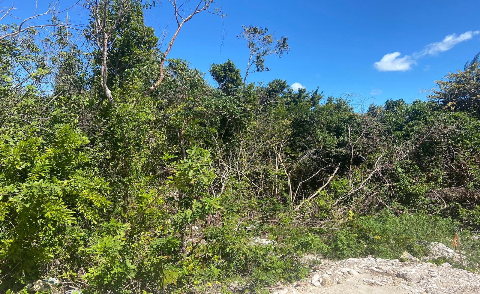 Vacant Land for sale in Jacaranda, Bahamas — photo 2