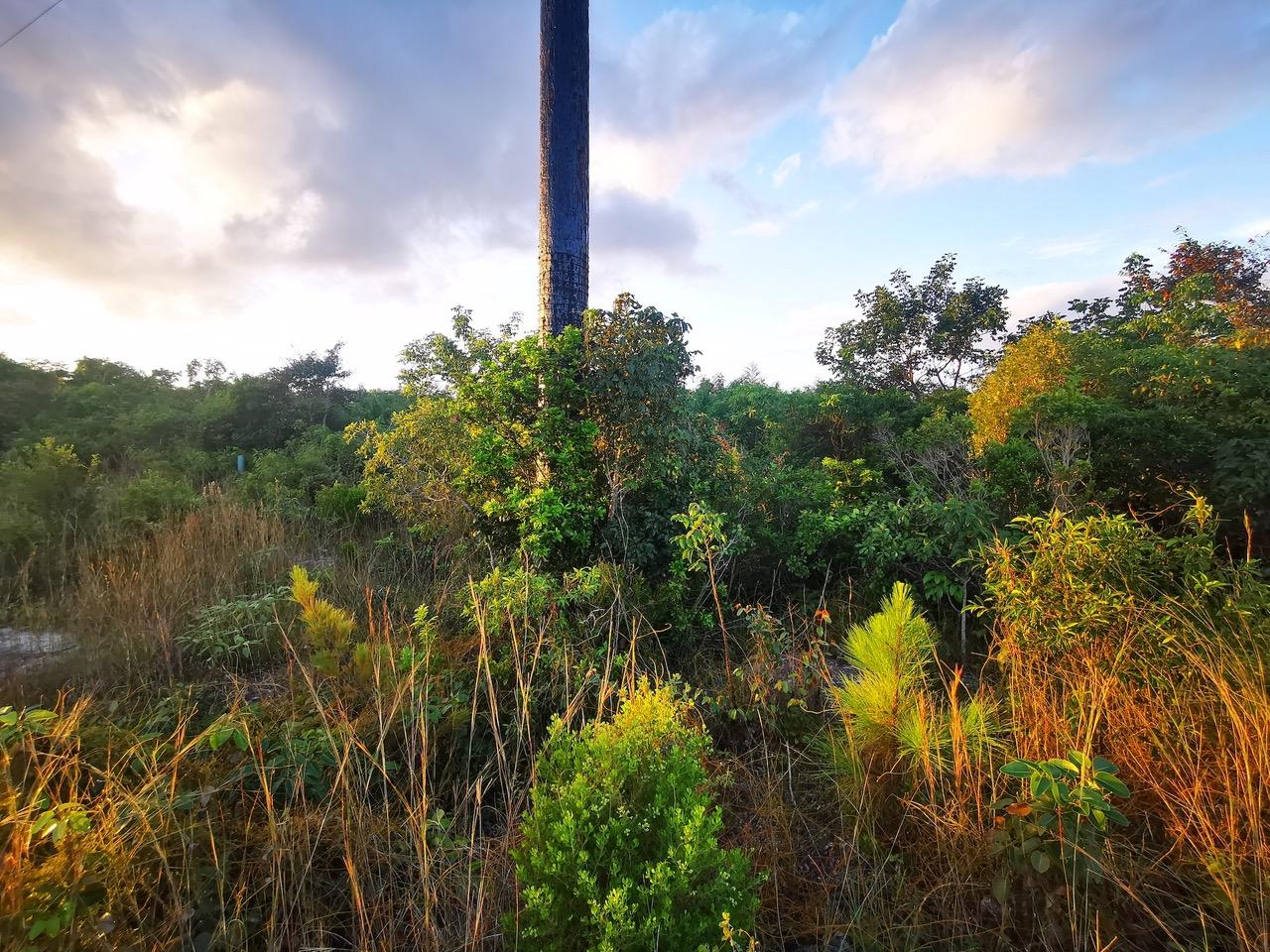 9 Acres of Commercial Land for Sale, Carmichael Road, New Providence, Bahamas — photo 5