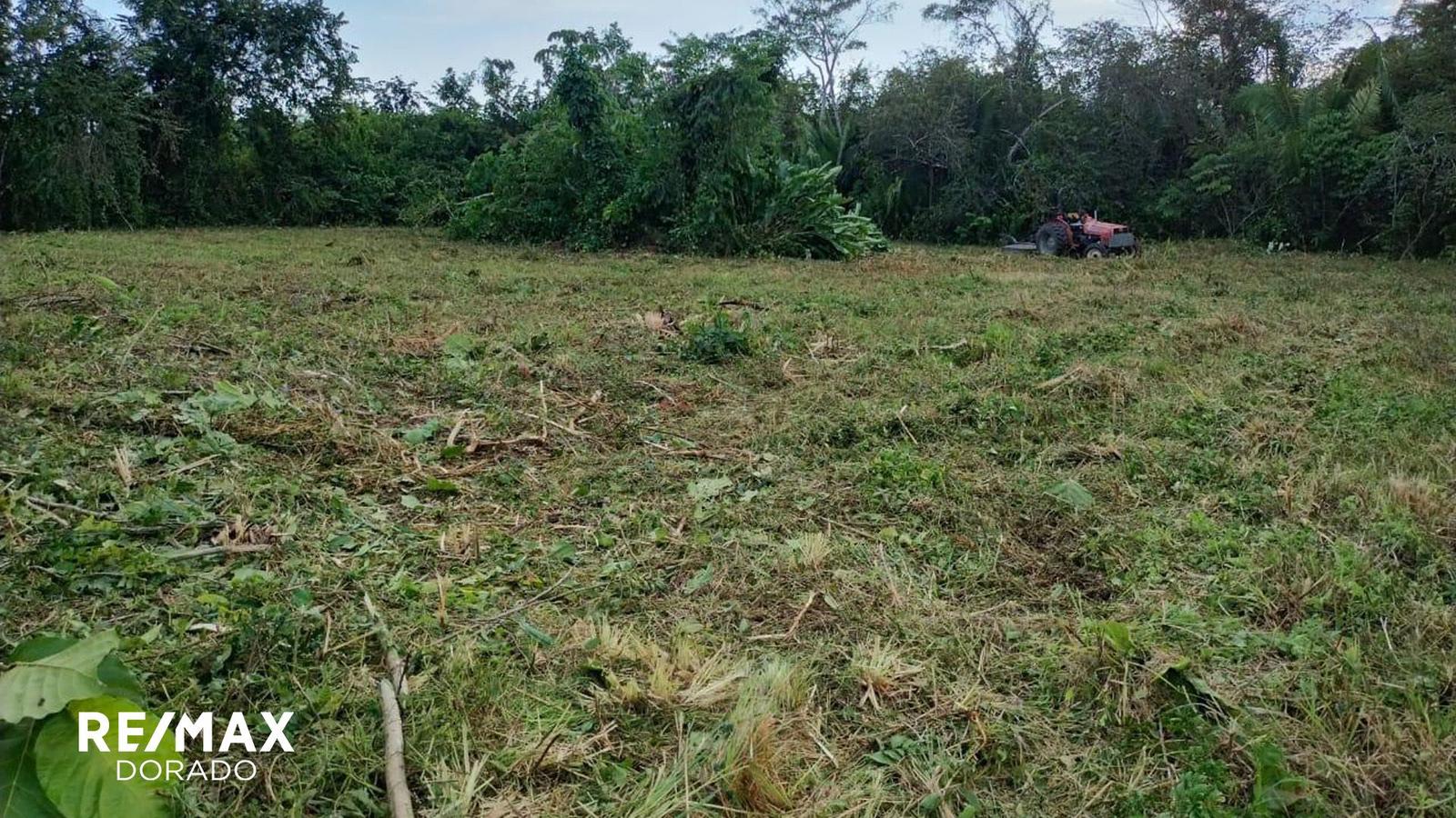 Ultimate Land Banking Opportunity in Belmopan! — photo 4