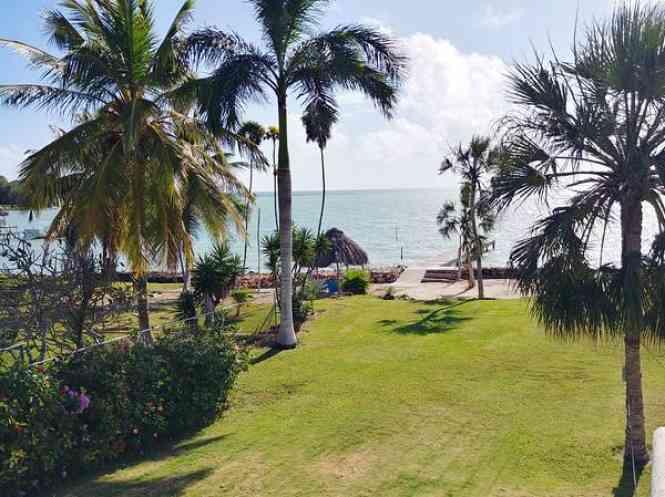 Waterfront Home Plus Private Guesthouse in Consejo Shores — photo 5