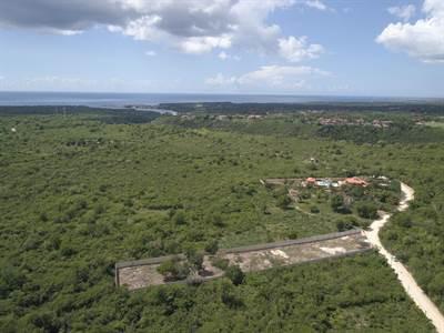 Land For Sale-boca De Chavon-la Romana — photo 3