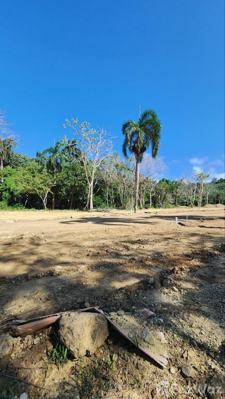 Residential Land for Sale in San Felipe De Puerto Plata — photo 2