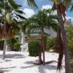 2 bedroom apartment for rent in Jan Thiel — photo 2
