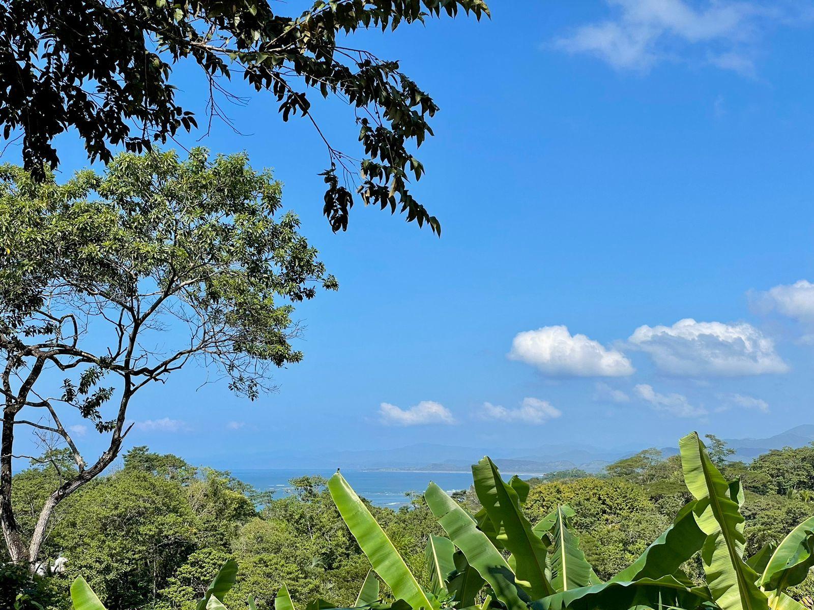 7,103 Sq M Ocean-View Lot for Sale, Manzanillo, Santa Teresa, Puntarenas, Costa Rica — photo 5