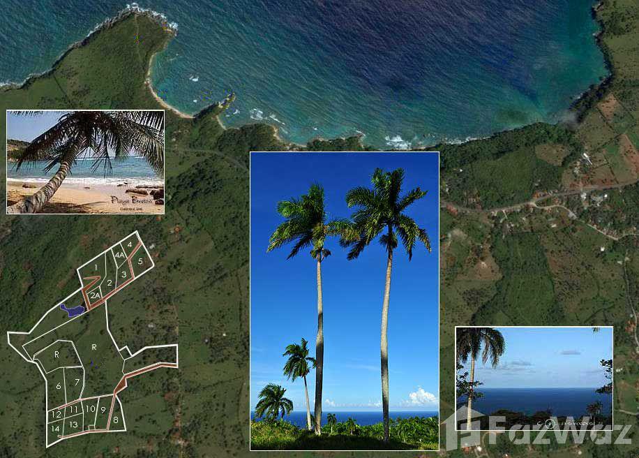 Hillside Land with Sea and National Park View in Trinidad Sanchez — photo 4