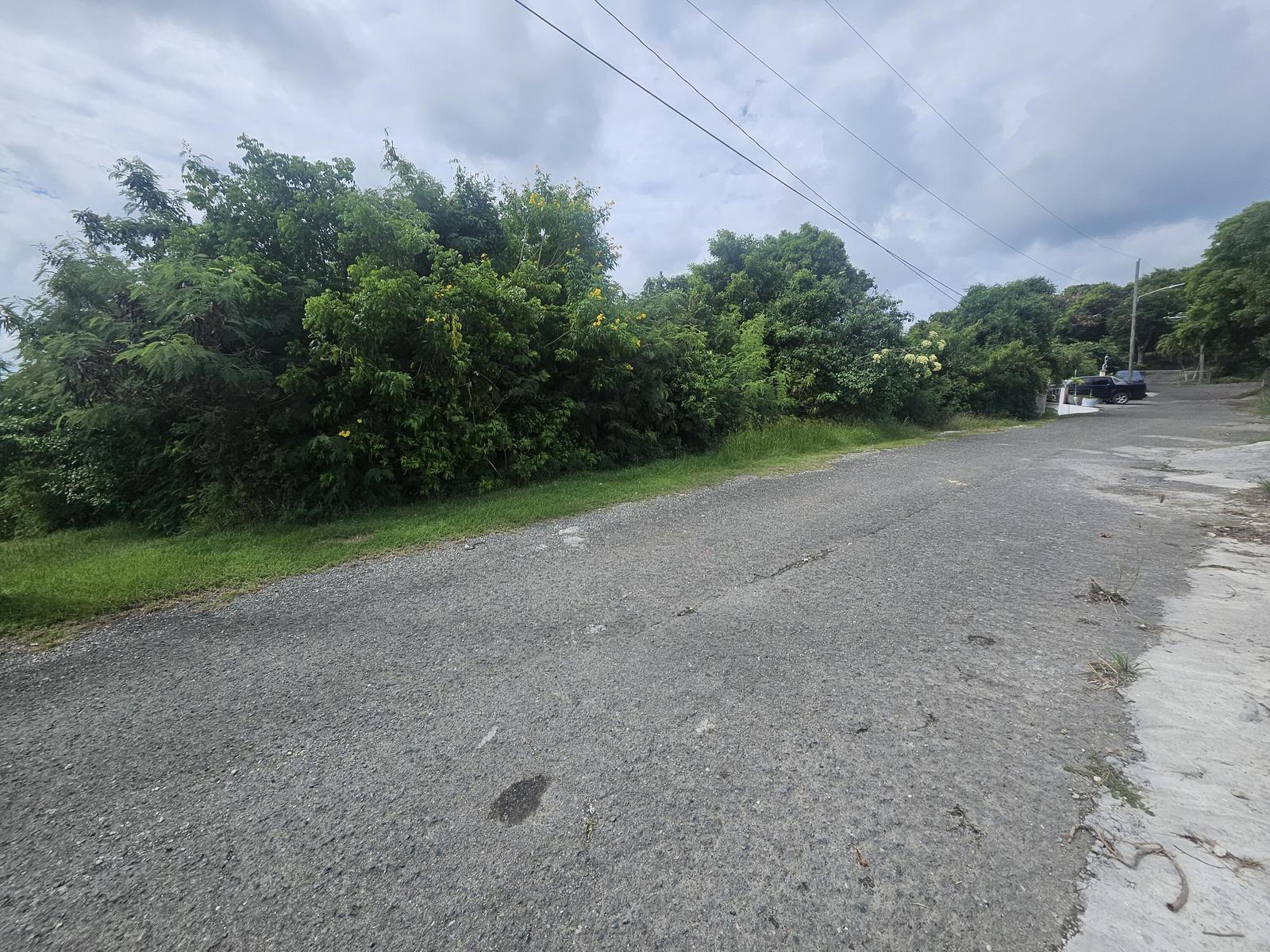 8-e Constitution Hill Co Land Lot — photo 4
