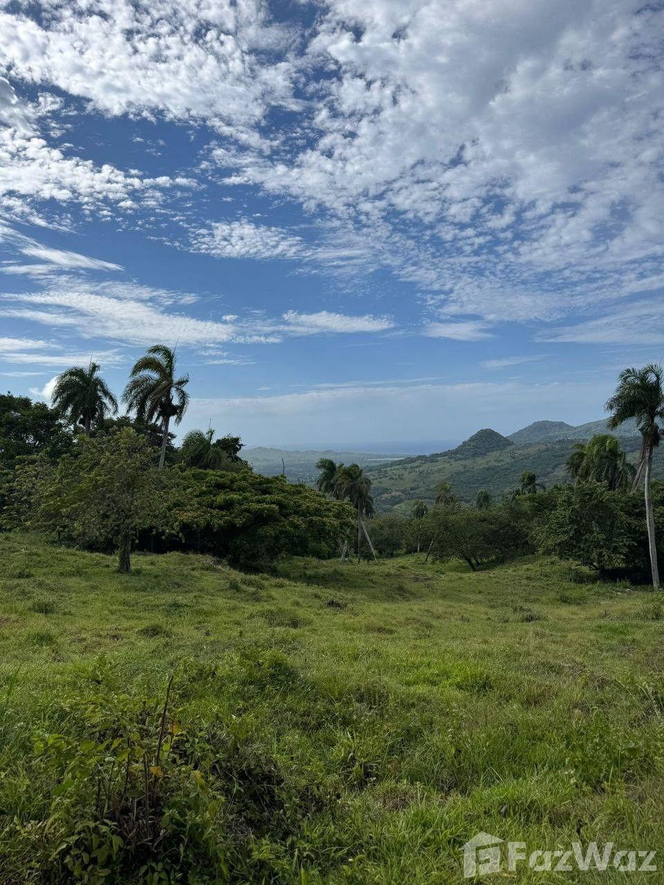 Ecological Paradise Land Plot in San Felipe De Puerto Plata — photo 4