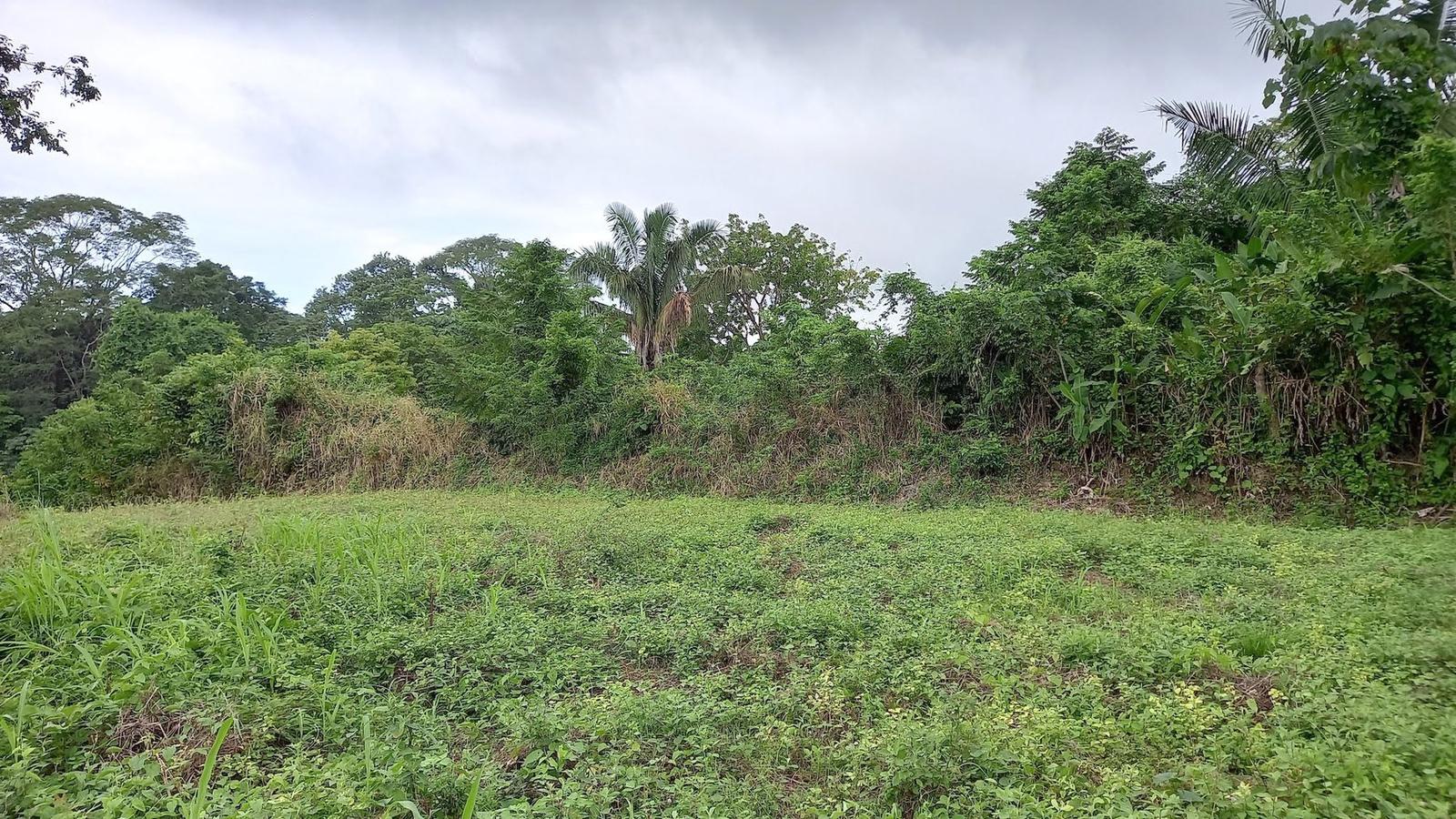 5,000 Sq M Lot for Sale, Mal Pais, Puntarenas, Costa Rica — photo 5