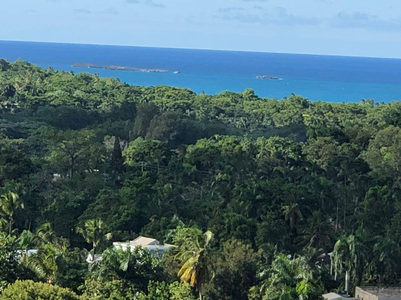 Luxury Hillside Development Plot with Panoramic Ocean Views — photo 3