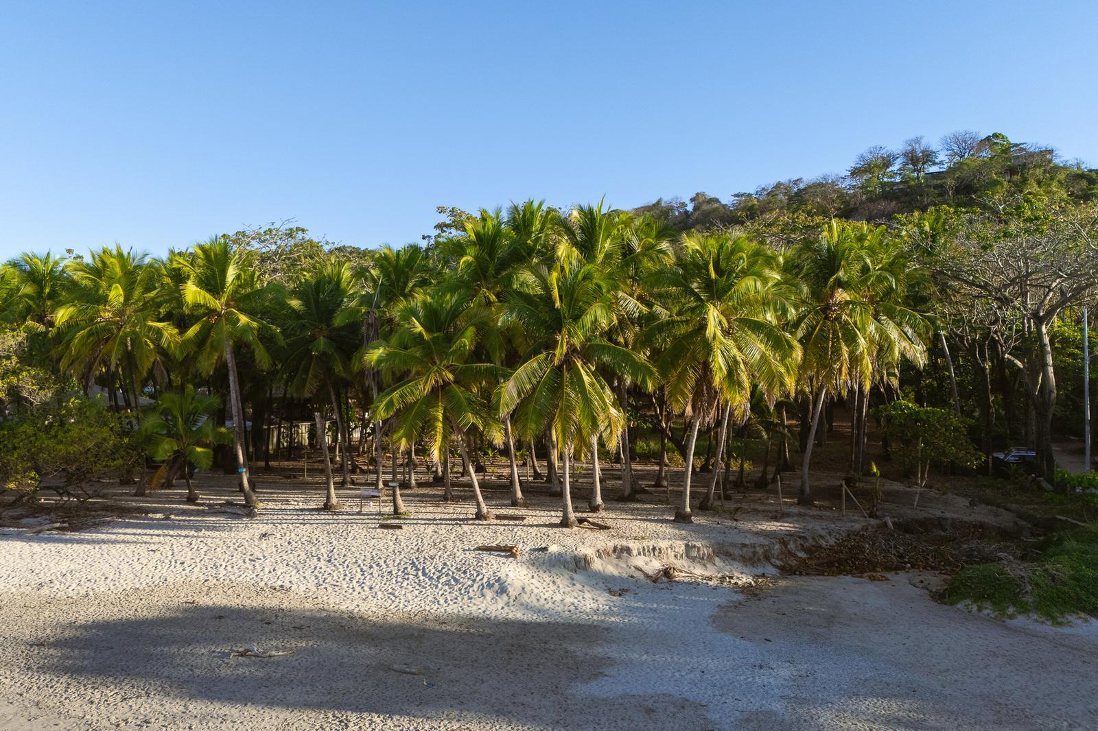2.64 Acres Beachfront Land for Sale in Santa Teresa, Costa Rica — photo 2