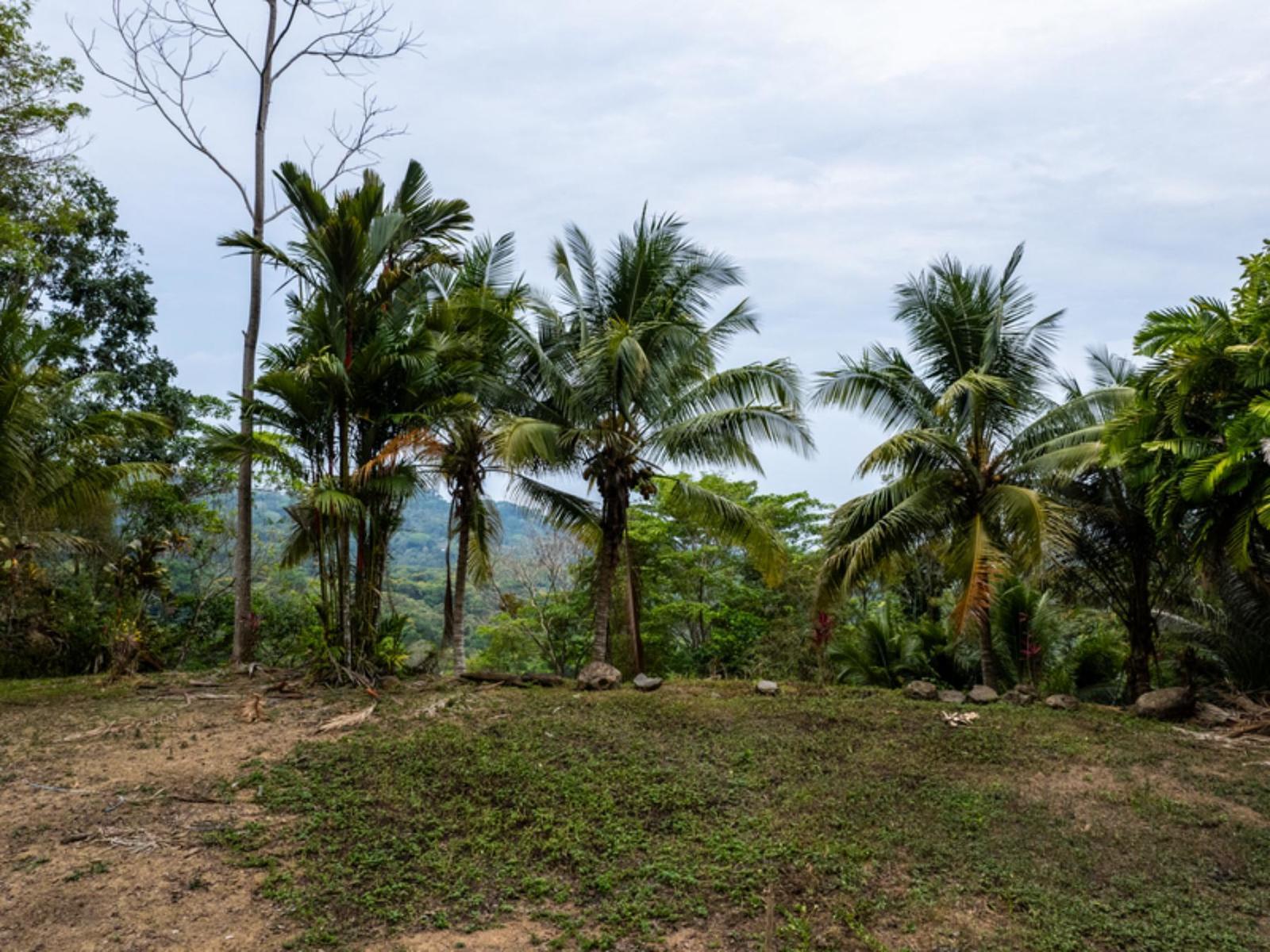 33.23 Acres of Land for Sale in Lagunas, Dominical, Puntarenas, Costa Rica — photo 3
