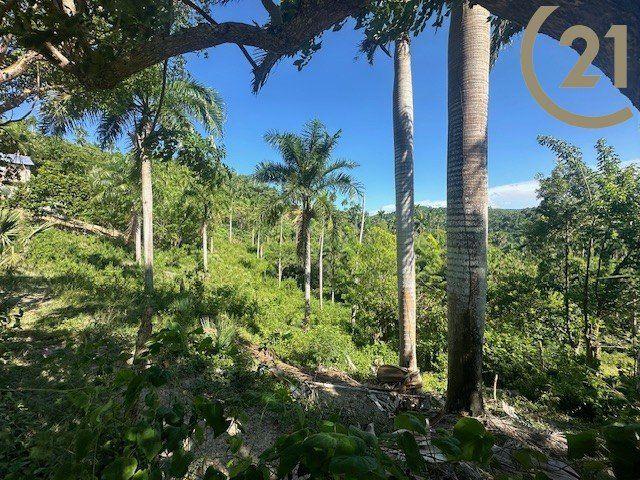 Oceanview Potential Development Lot in Lomas de los Chivos, Sosúa — photo 5