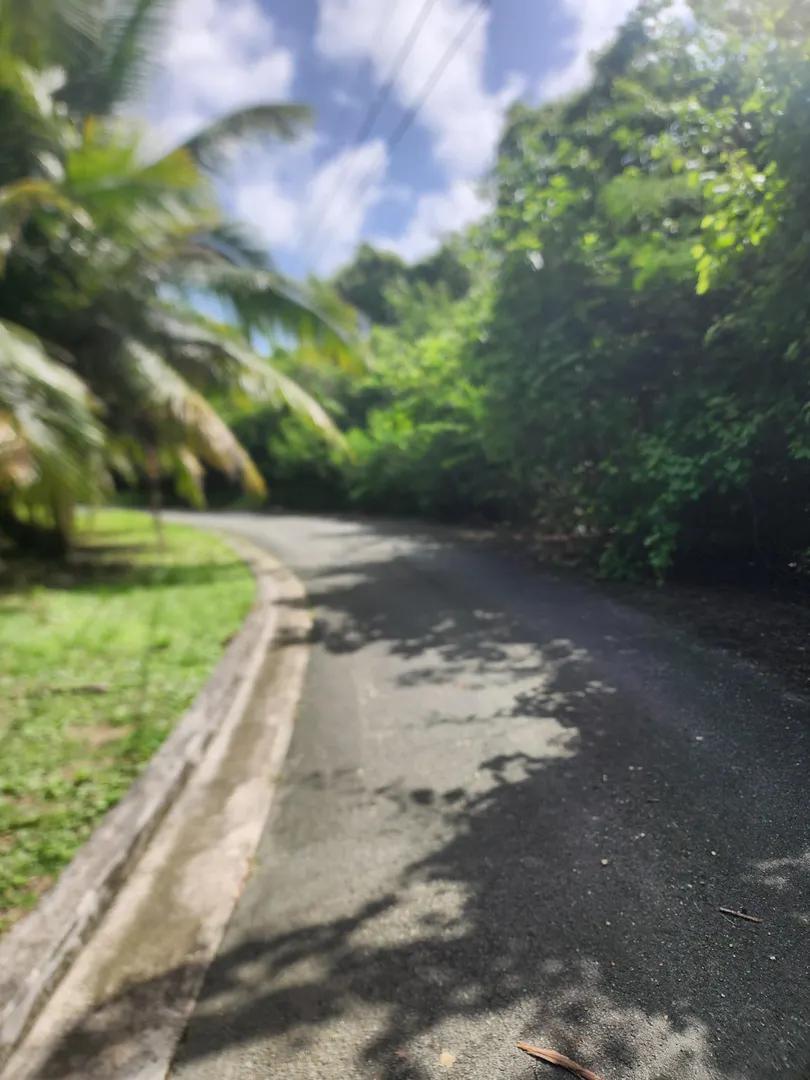 0.45 Acre Homesite Lot in US Virgin Islands — photo 2