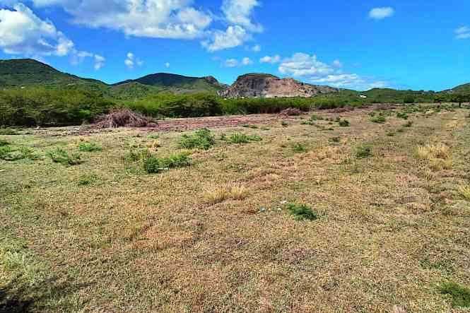 4.6 Acre Residential Development Land in St. Mary's — photo 5