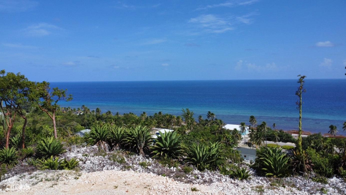 Bluff Land - Cayman Brac East - Lot #12 — photo 5