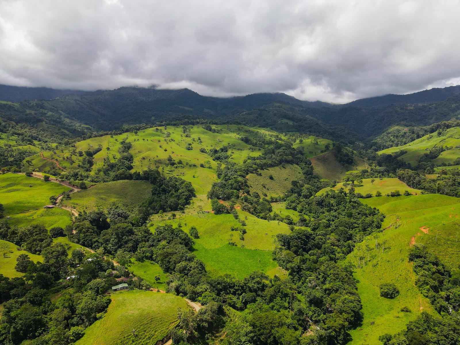 191 Acre Cattle Ranch for Sale — photo 1