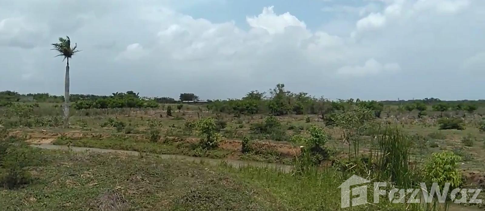 Land for Sale in Santo Domingo East — photo 4
