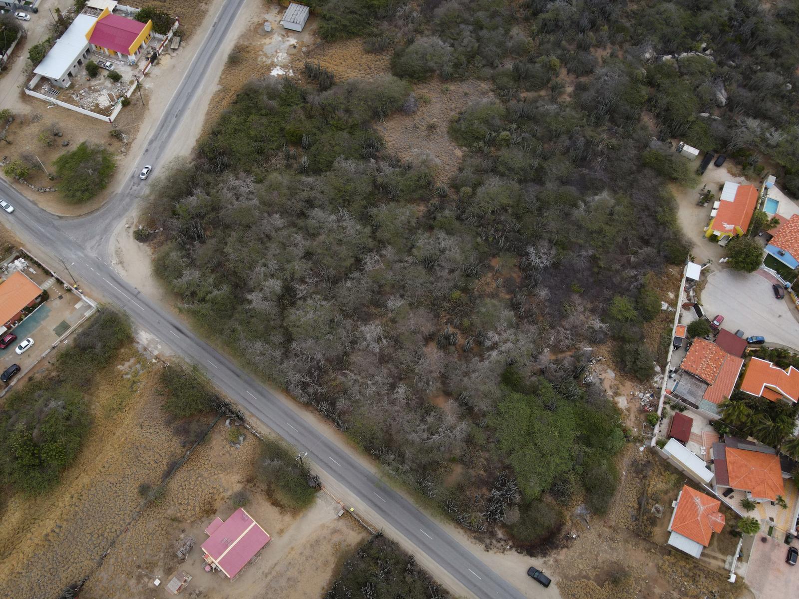 Full Ownership Land in Calbas (on Hold) — photo 2