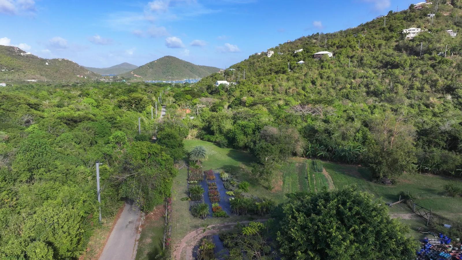 Commercial Land For Sale - St John Island — photo 4