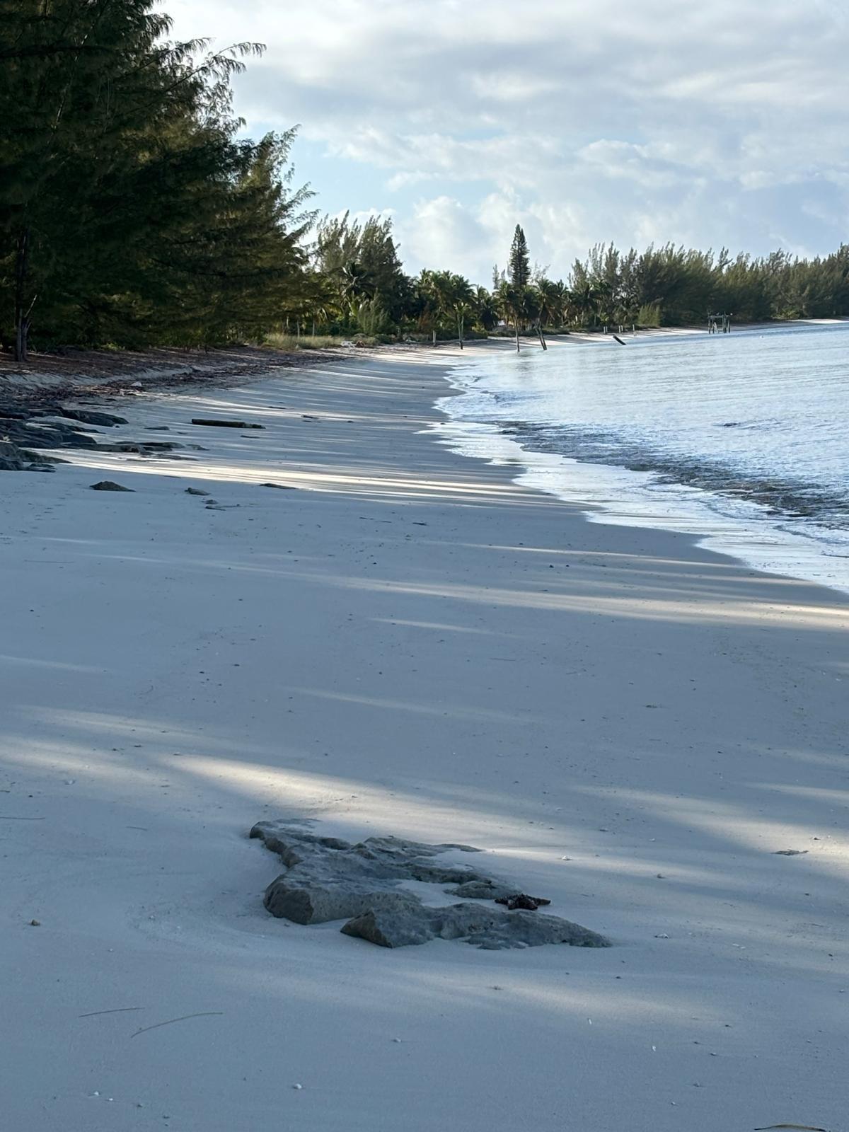 3 bedroom Residence for sale — 5 ACRES IN SANDY POINT, A in Abaco Islands, The Bahamas — photo 1