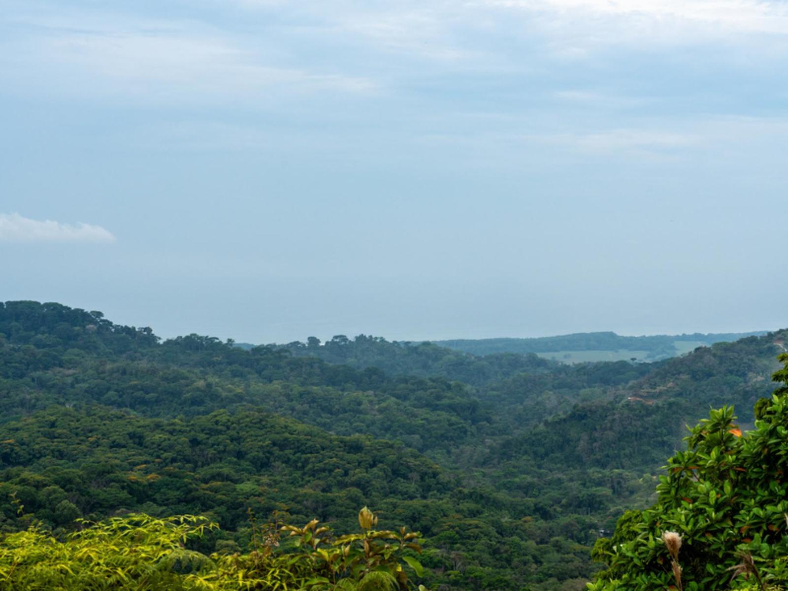 33.23 Acres of Land for Sale in Lagunas, Dominical, Puntarenas, Costa Rica — photo 4