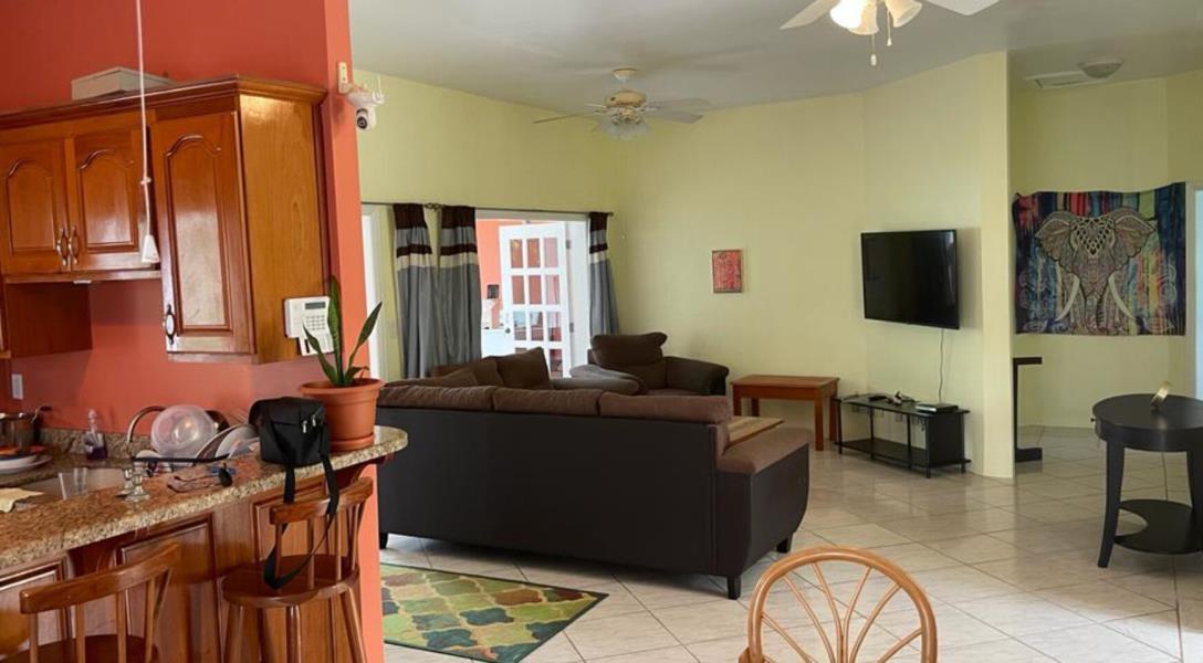 Four Bedroom House on the Hummingbird Highway — photo 3