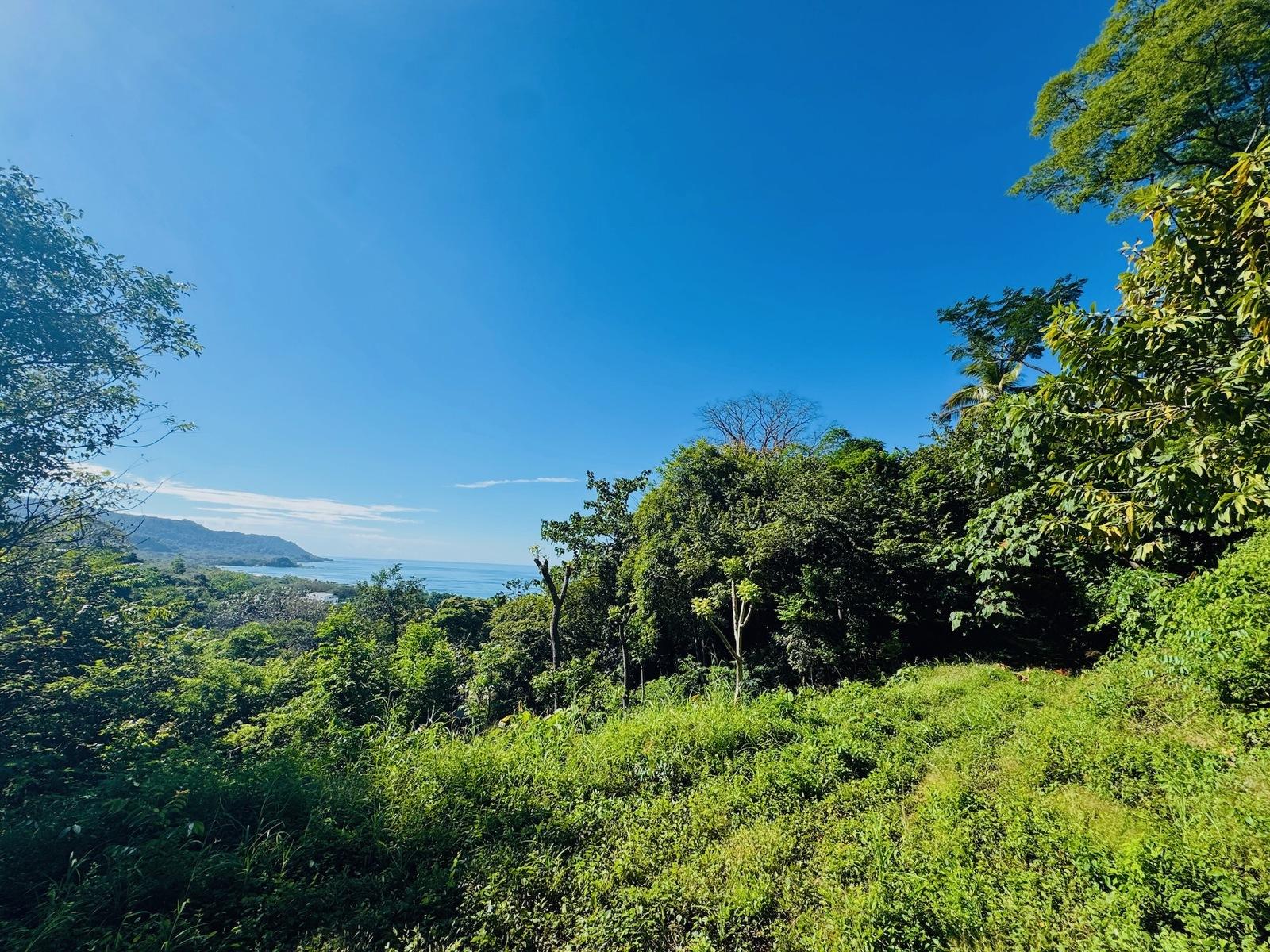 1.21 Acre Ocean-View Lot for Sale in Playa Carmen, Santa Teresa — photo 3