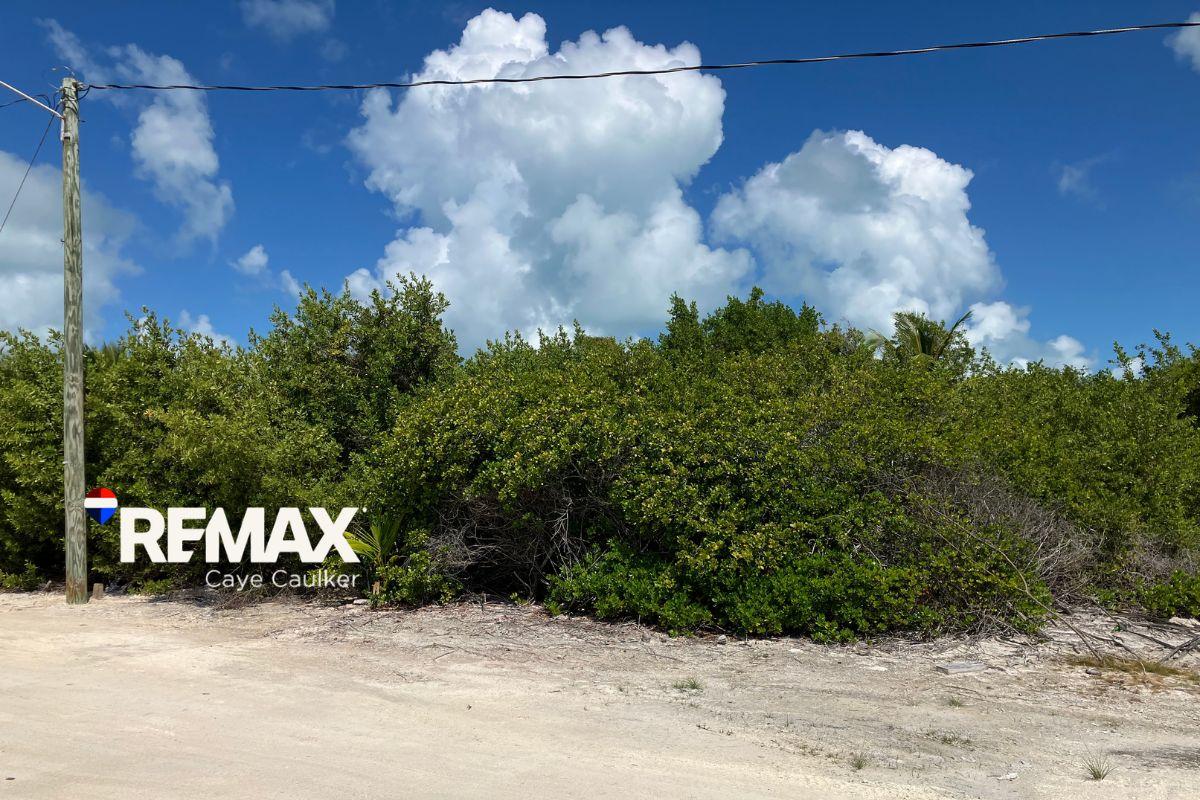 Prime North Caye Caulker Lot – High, Dry, and Ready for Development — photo 3
