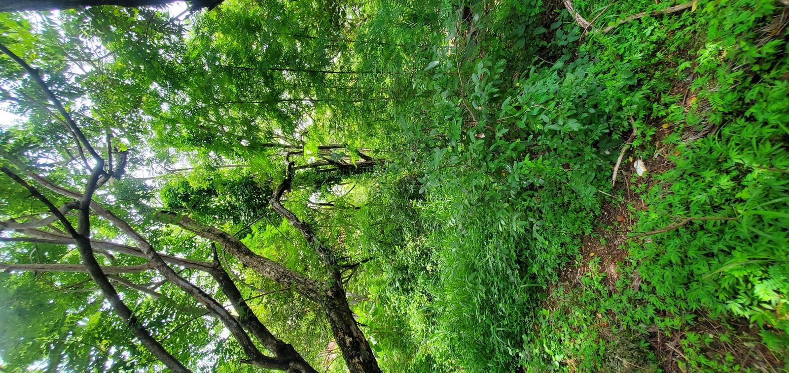 8,407 Square Foot Lot for Sale, Playa Langosta, Tamarindo, Guanacaste, Costa Rica — photo 5
