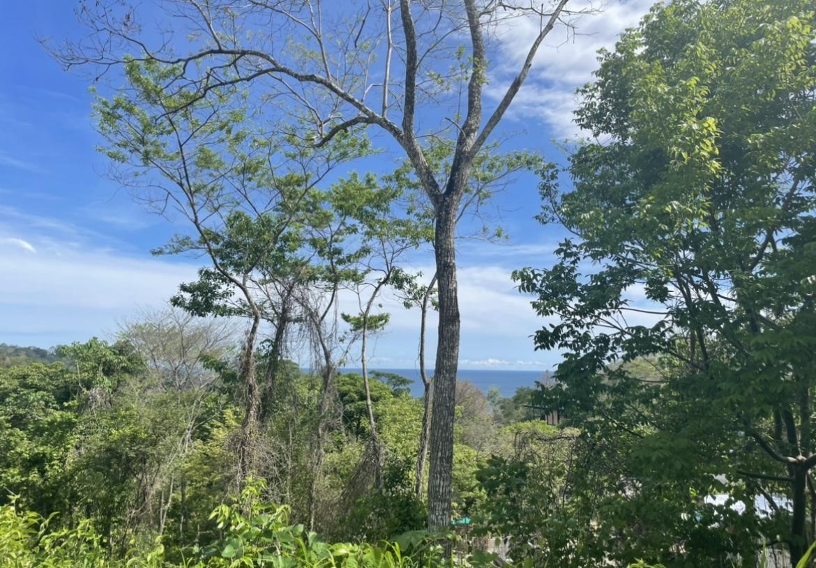 0.69 Hectare Ocean-View Commercial Lot for Sale — photo 3