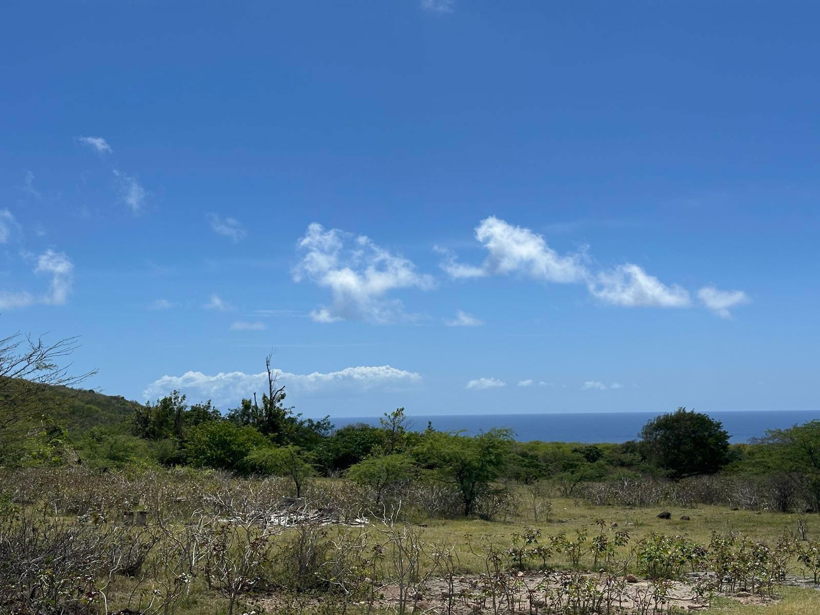 1 Acre Lot for Sale, Busch Hill, Nevis — photo 1