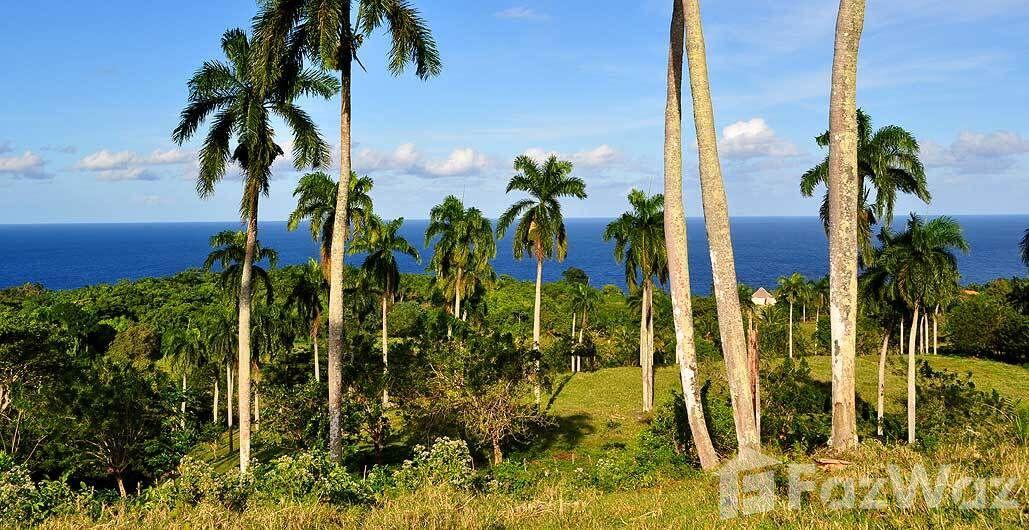 37000 SqM Land Plot in Cabrera, Dominican Republic — photo 5