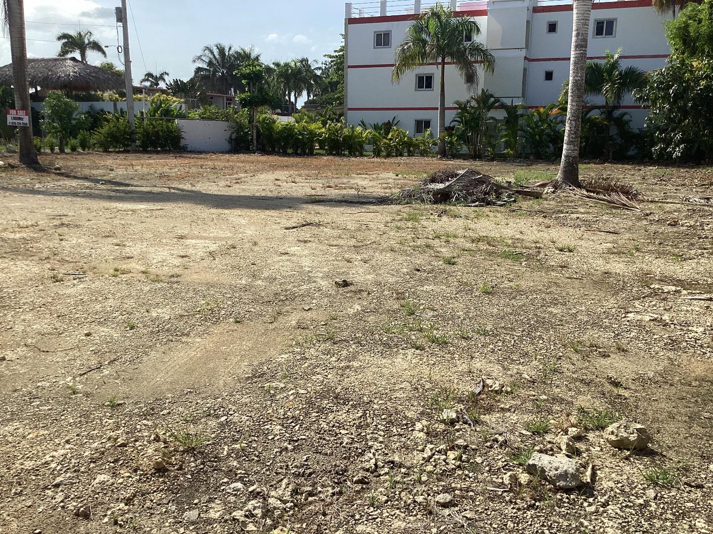 Great Lot In Cabarete — photo 4