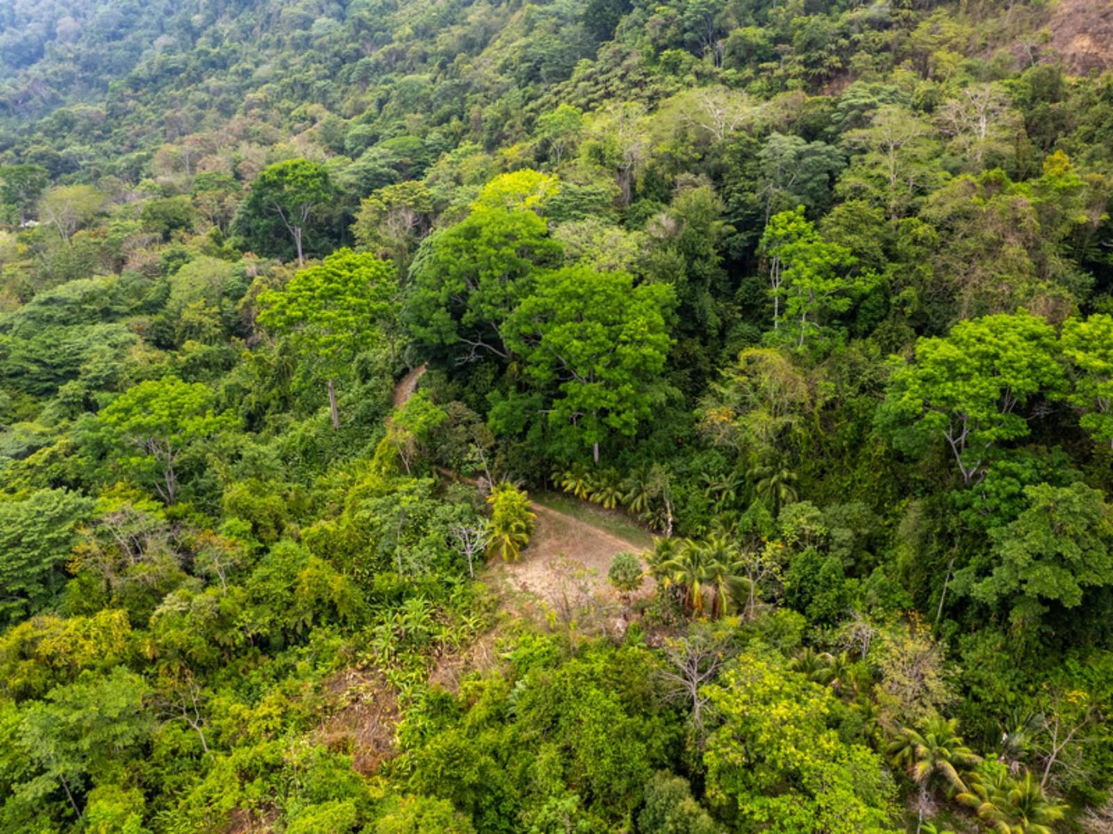33.23 Acres of Land for Sale in Lagunas, Dominical, Puntarenas, Costa Rica — photo 1