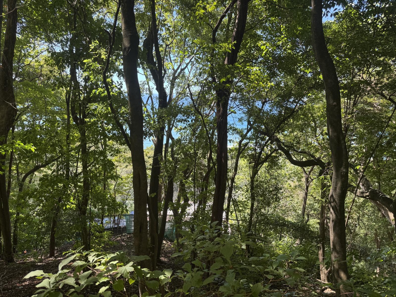 Commercial Ocean-View Land for Sale in Santa Teresa — photo 5