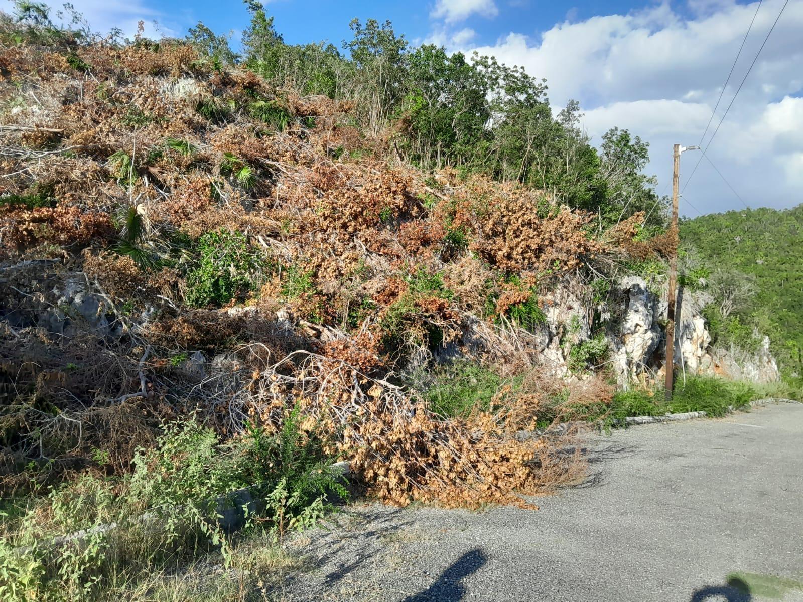 ST JAGO HILLS St. Catherine Spanish Town — photo 3