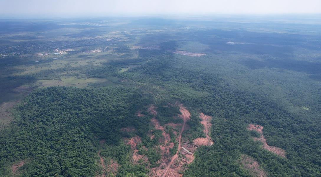 Excellent Development Opportunity — 87 Acres of Lush Jungle Near Santa Cruz — photo 2