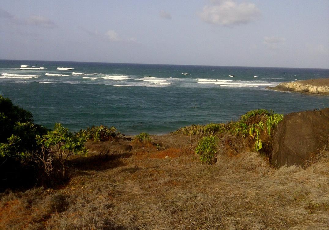 33.2 Acres Beachfront Land for Sale, Cannelles, Vieux Fort, St Lucia — photo 3