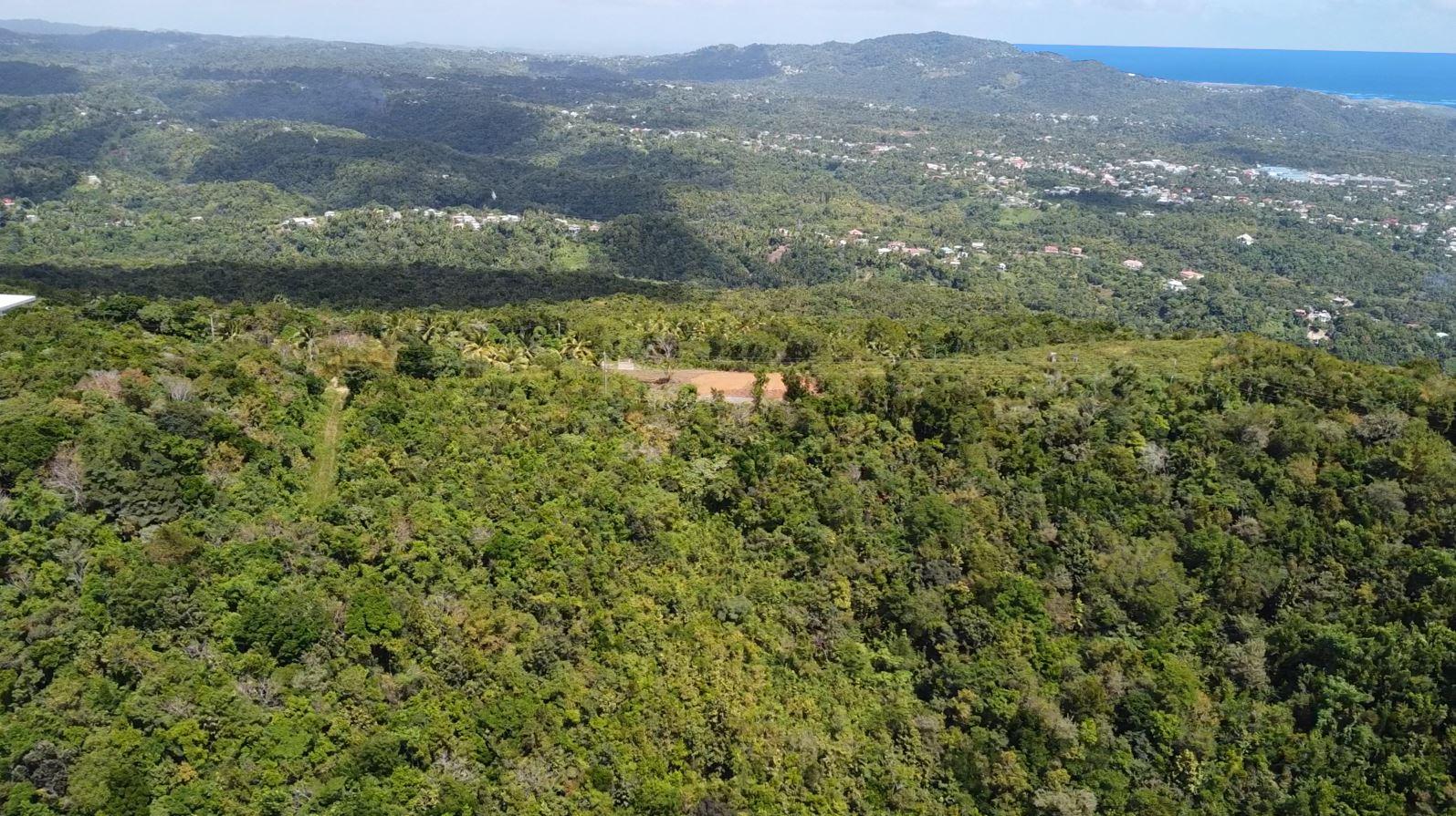 Gomier Heights Development – Breathtaking Lots in Mount Le Blanc, Laborie — photo 3